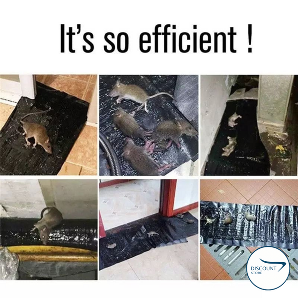 Super Glue Rat Magic Carpet - (IMPORTED)